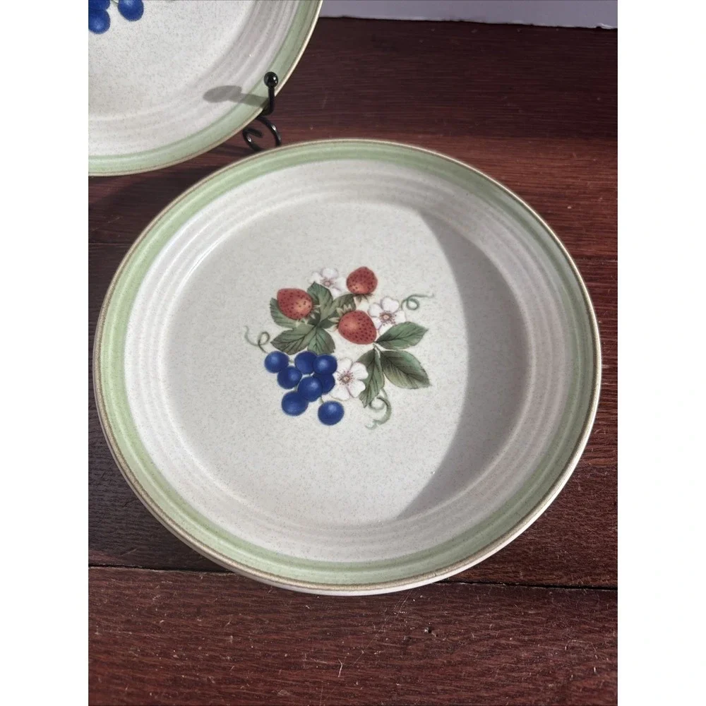 Cera Stone from Mikasa CN120 Berry Bloom Two Luncheon Salad Plates Red Blue‎